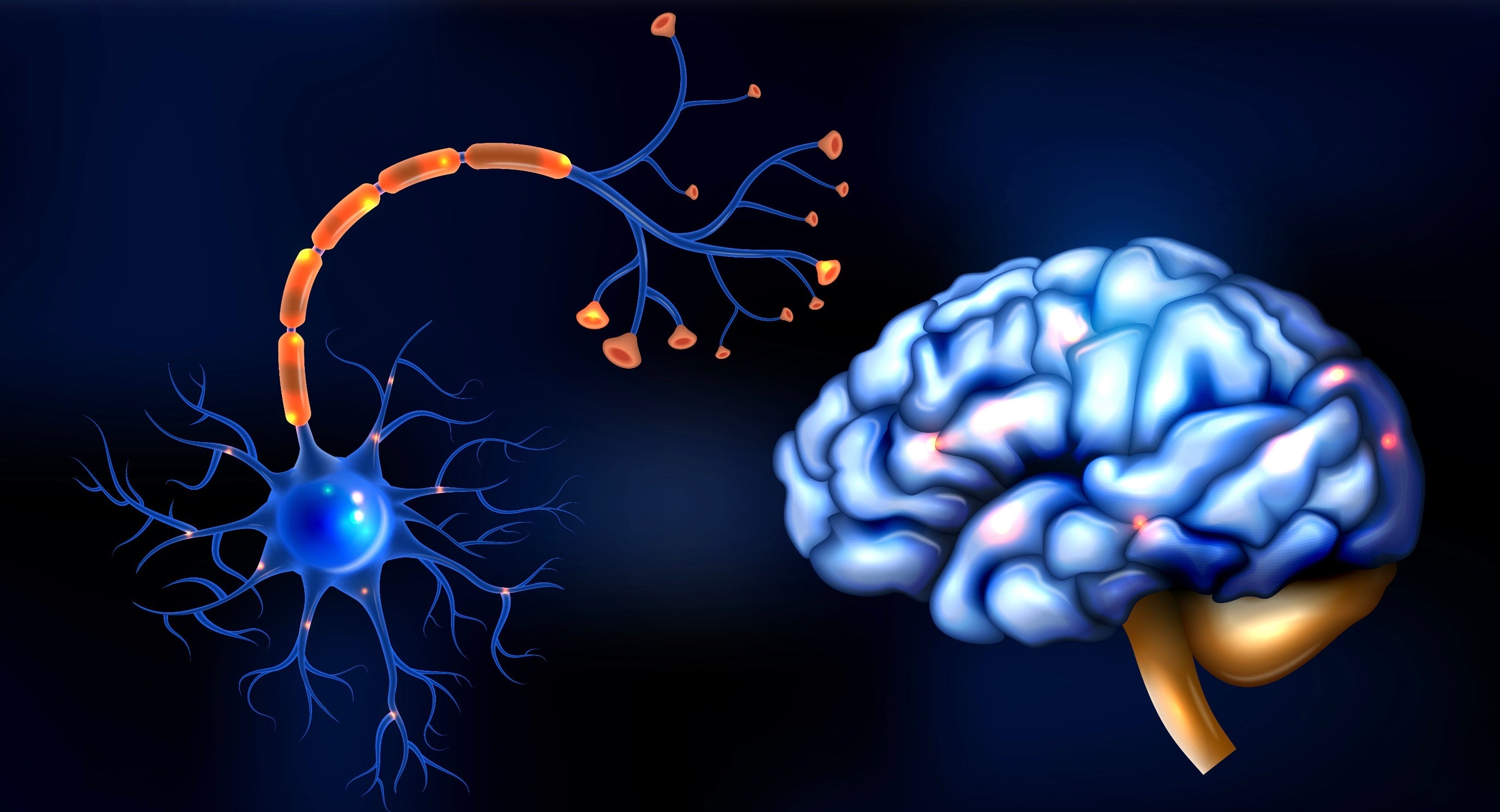 BLUVERRA Lightwear® Official Store